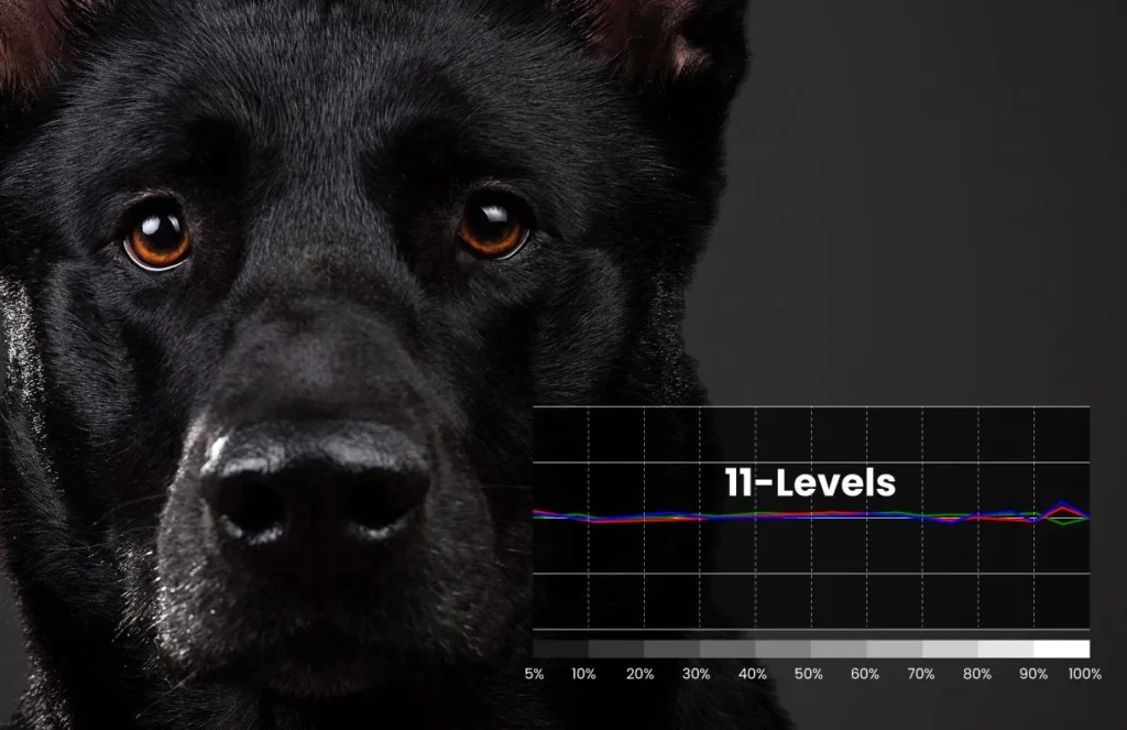 Exclusive Color Temperature Tuning