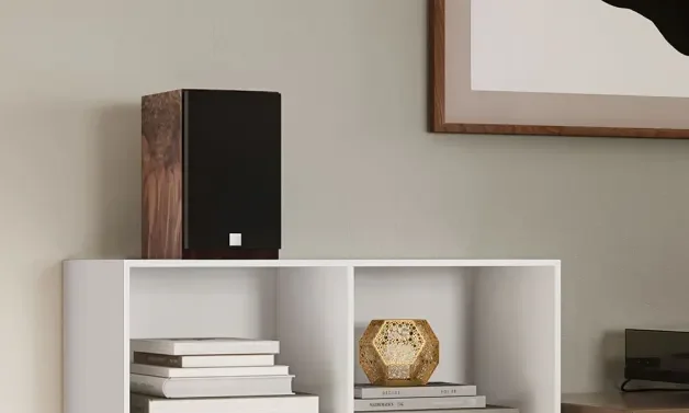 Bookshelf Passive Dali Speakers