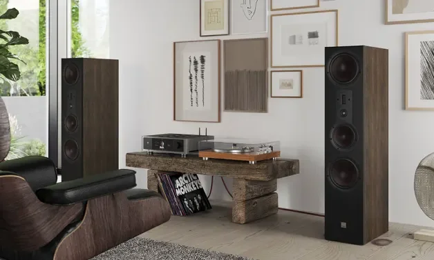 Floor-standing Passive Dali Speakers