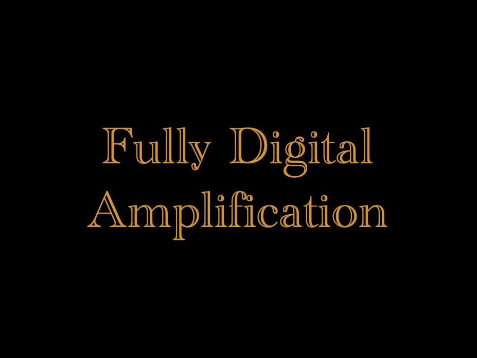 Fully Digital Amplification