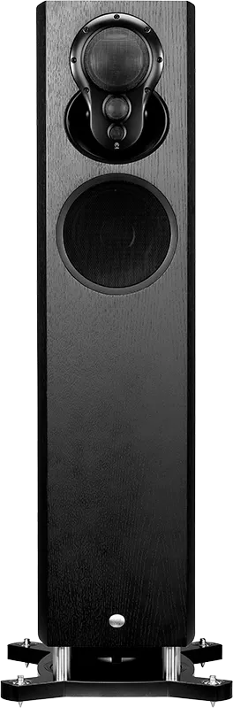 Linn Akubarik Floor standing Speakers