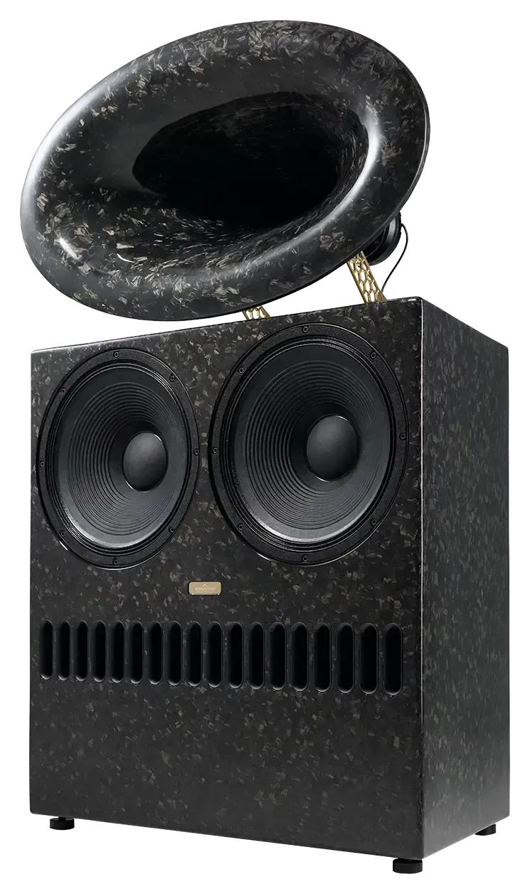 Ascendo BLACK SWAN Be premium speaker for audiophiles
