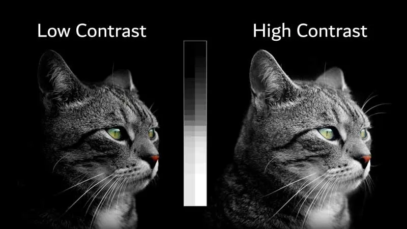 Exceptional Native Contrast.